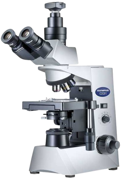 Light Microscope CX31 OLYMPUS