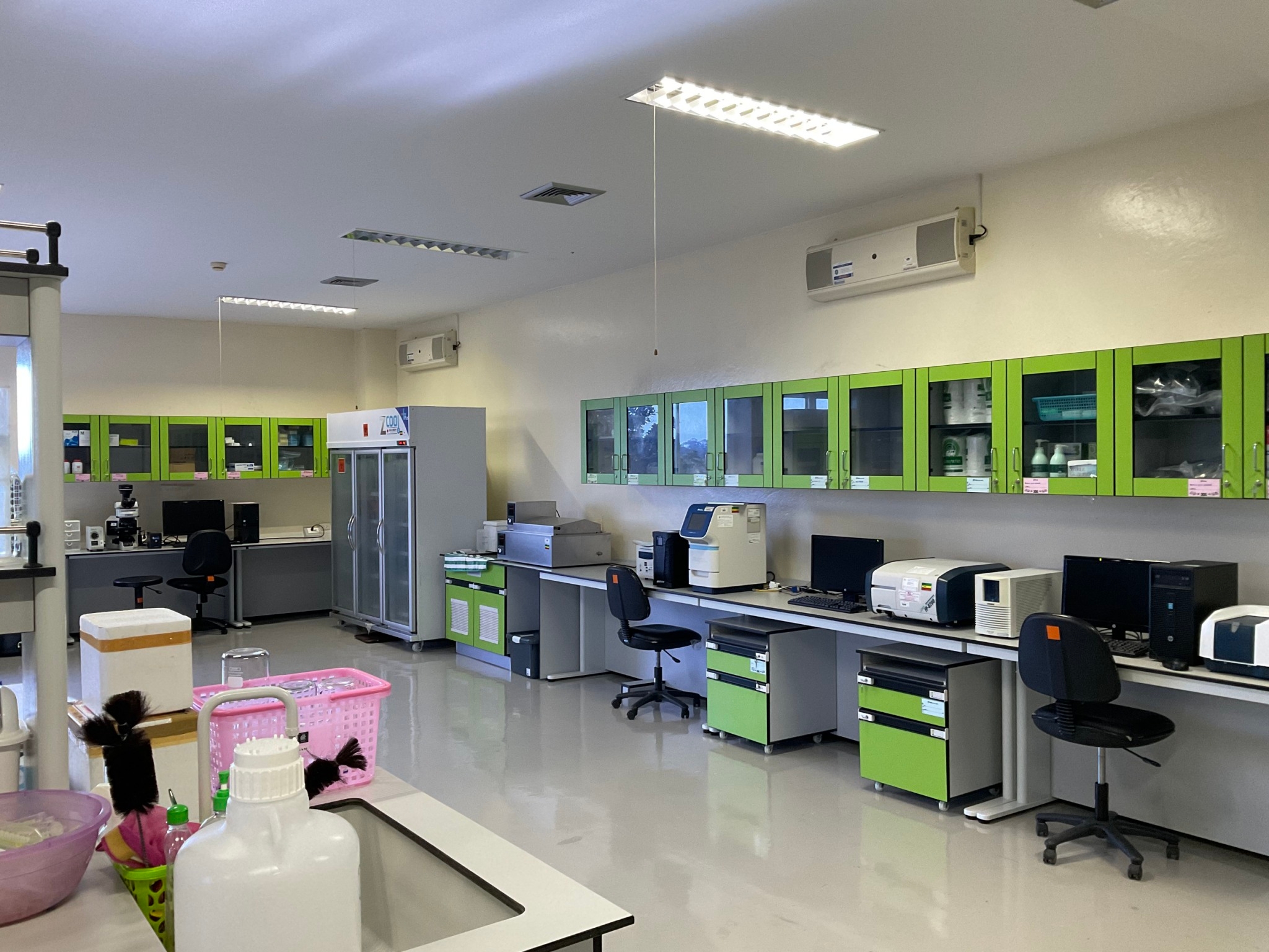 Tropical Medicine Laboratory